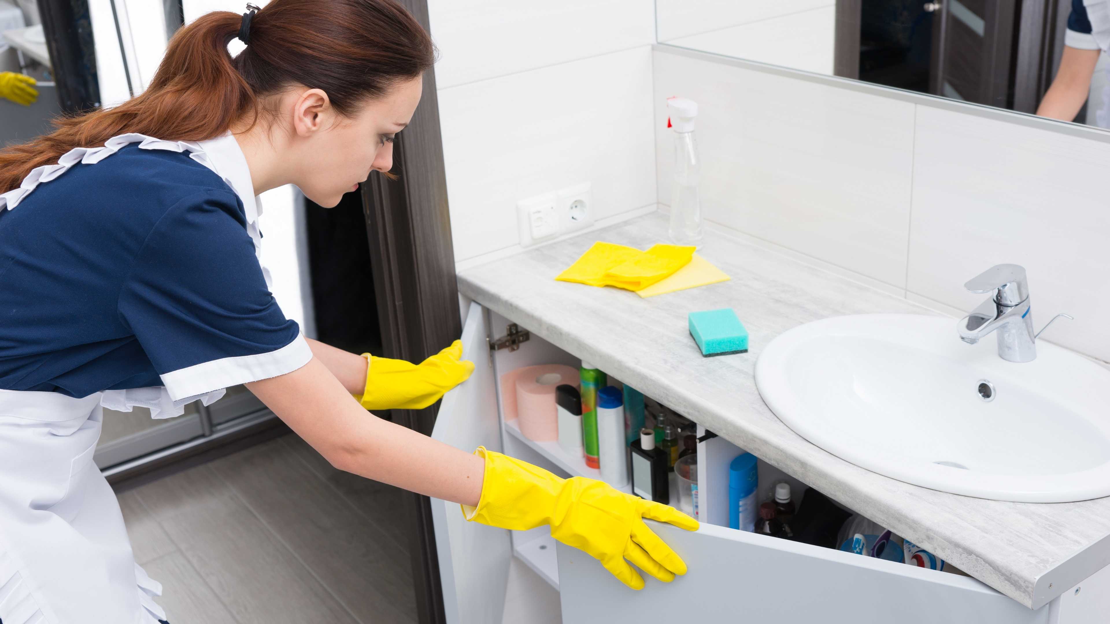 Domestic Worker